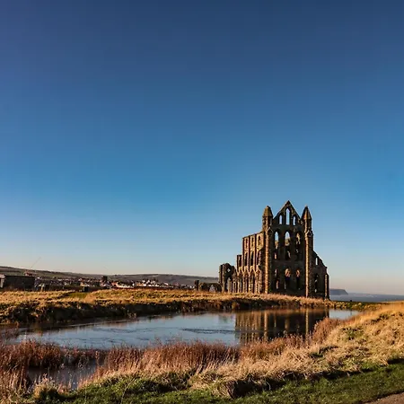 Kingfisher * 惠特比