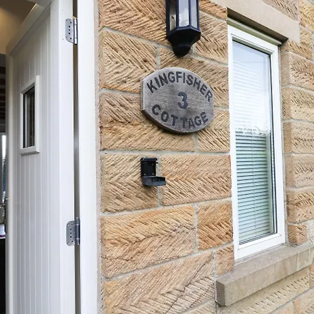 Kingfisher * 惠特比